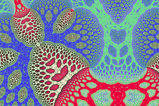 10 avril 2026 – Pratique d&rsquo;intervision : Intersectionnalité vécue dans les pratiques militantes