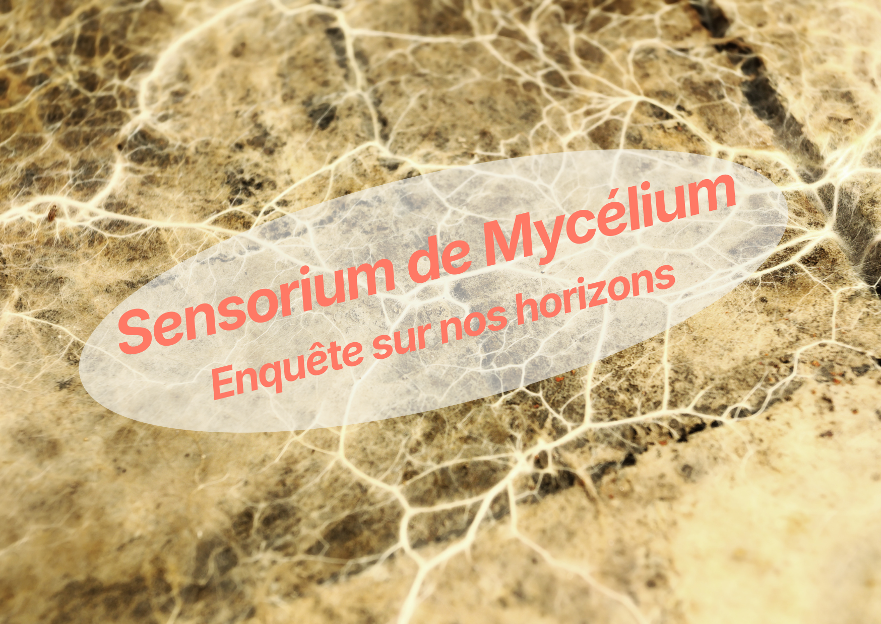 Printemps 2026 : Sensorium de Mycélium – Enquête sur nos horizons